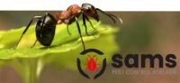 Sams Ant Exterminator Adelaide image 2